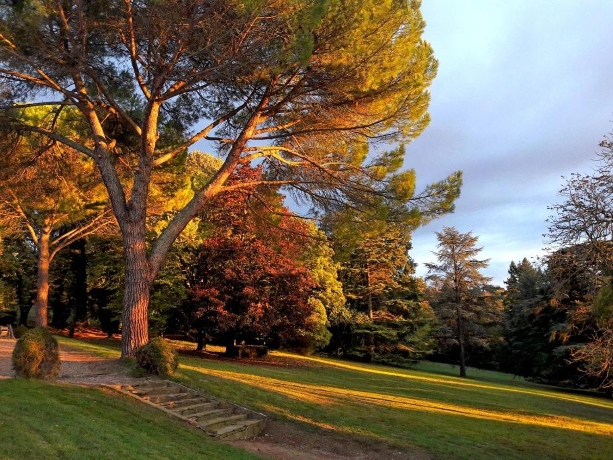 Domaine De Gailhaguet B&B Verfeil  Exteriér fotografie